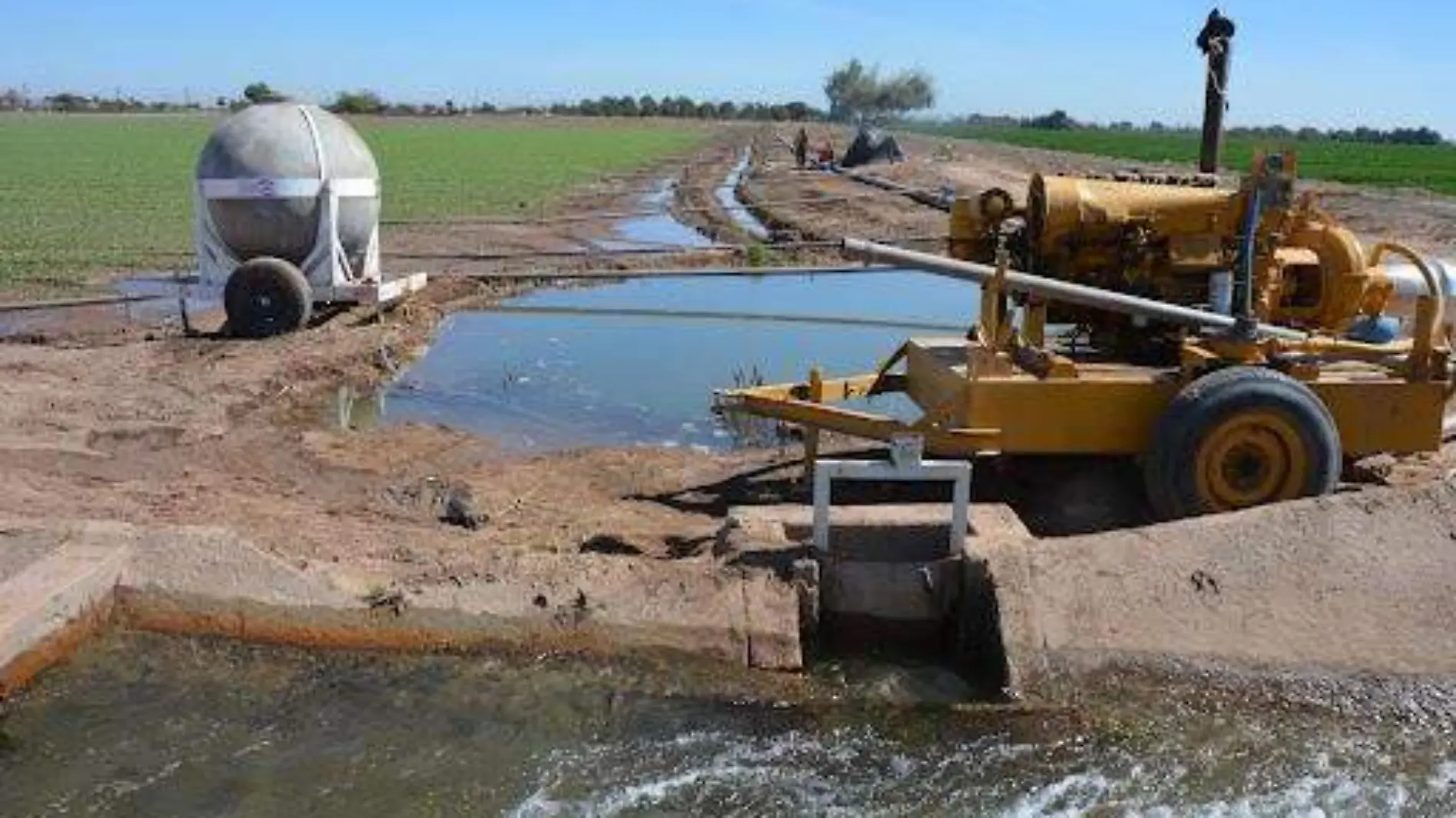 También trabajarán en el mantenimiento de los pozos de riego